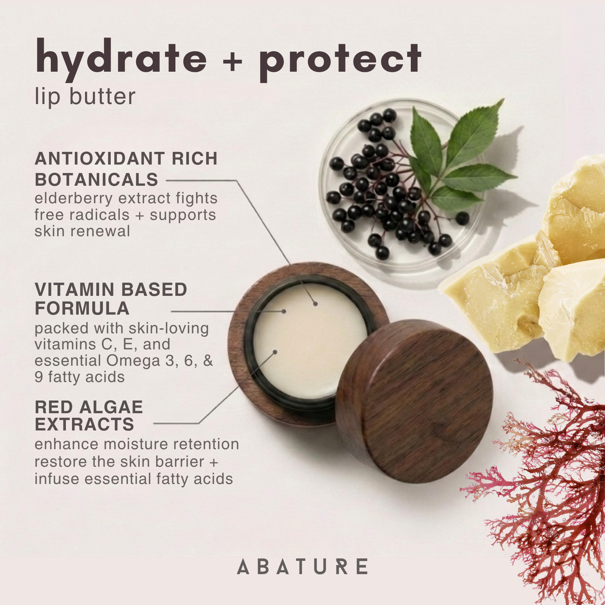 Vanilla Oak Lip Balm